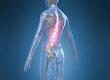 What is Ankylosing Spondylitis?