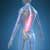 Spinal Conditions